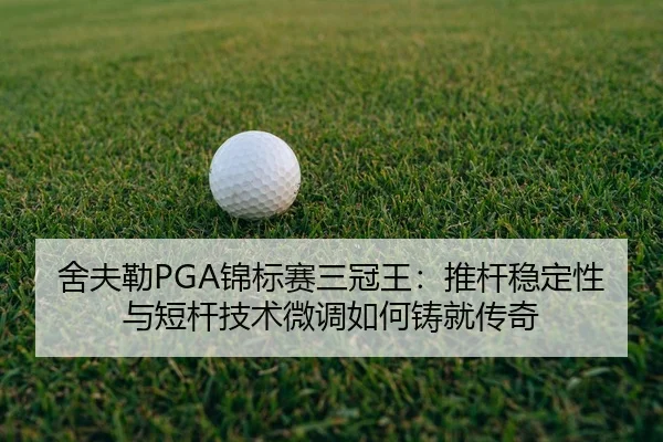 she-fu-lei-jin-biao-sai-san-guan-wang-tui-gan-wen-ding-xing-yu-duan-gan-ji-shu-wei-diao-ru-he-zhu-jiu-chuan-qi-2-205.jpg