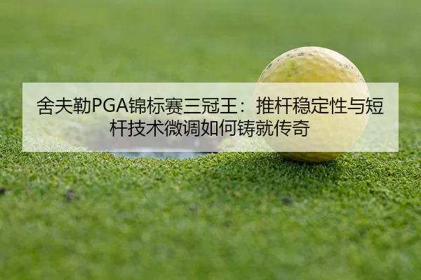 she-fu-lei-jin-biao-sai-san-guan-wang-tui-gan-wen-ding-xing-yu-duan-gan-ji-shu-wei-diao-ru-he-zhu-jiu-chuan-qi-3-782.jpg
