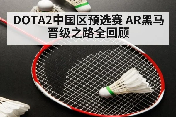 DOTA2中国区预选赛 AR黑马晋级之路全回顾