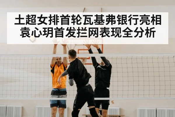 volleyball net block